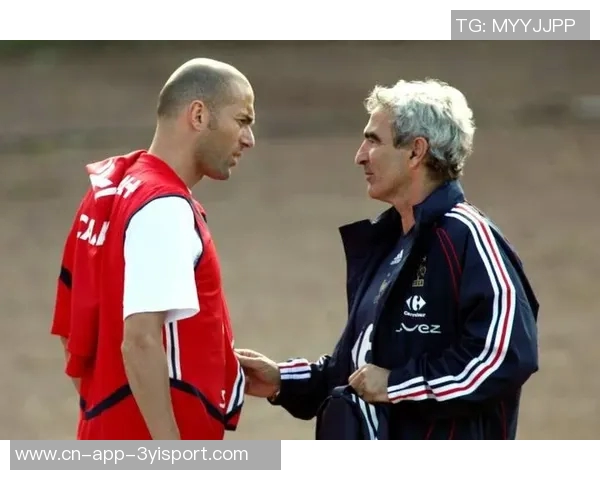 多梅内克回忆齐达内事件并谈国脚选拔背后的思考与决策